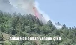 Soğuksu Milli Parkı’nda Orman Yangını Paniği: Ekipler Seferber Oldu