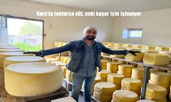 Kars’ta Tonlarca Süt, Coğrafi İşaretli Eski Kaşara Dönüşüyor
