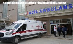Yaz Aylarında Gıda Zehirlenmelerine Dikkat: Hangi Besinler Risk Taşıyor?