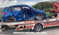 Adilcevaz'da trafik kazası: 2 ölü, 1 yaralı