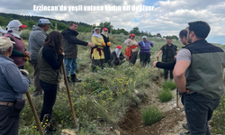 Erzincan'da yeşil vatana kadın eli değiyor