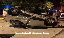Erzincan’da Otomobil Ağaca Çarptı, Takla Attı: 3 Kişi Yaralandı