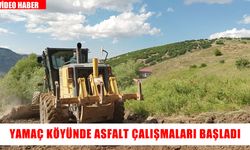 Muş’un Yamaç Köyü’nde asfaltlama çalışmaları başladı