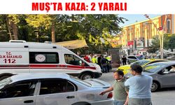 Muş’ta otomobil yayalara çarptı