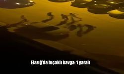 Elazığ’da Gece Saatlerinde Bıçaklı Kavga: 1 Kişi Yaralandı