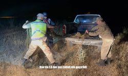 Van Gölü’nde İnci Kefalini Kaçak Avlayanlara Geçit Yok: 1,5 Ton Balık Yakalandı