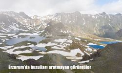 Erzurum’un zirvesinde buzulları aratmayan manzara: Yedigöller doğaseverleri büyülüyor