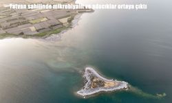 Tatvan Sahilinde Van Gölü’nün Suları Çekildi: Mikrobiyalitler ve Yeni Adacıklar Ortaya Çıktı