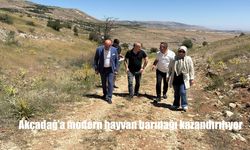 Akçadağ’da Sokak Hayvanlarına Modern Barınak Müjdesi