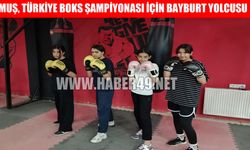 Muş’tan 5 sporcu Türkiye Boks Şampiyonası’na katılacak
