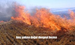 Anız Yakmak Toprağı Yok Ediyor: Uzmanlardan Hayati Uyarılar