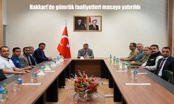 Hakkâri Esendere Sınır Kapısı’nda Gümrük Hizmetleri Gözden Geçirildi