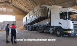 Erzincan’da Arpa Hasadı Başladı: Sezonun İlk Ürünü TMO’ya Teslim Edildi
