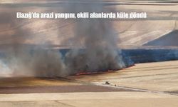 Elazığ’da Korkutan Arazi Yangını: Arpa ve Buğday Ekili Alanlar Kül Oldu