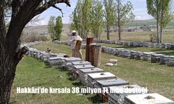 Hakkâri Kırsalına 38 Milyon TL'lik Dev Hibe: 14 Proje Desteklenmeye Hak Kazandı