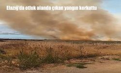Elazığ’ın Baskil İlçesinde Otluk Alanda Yangın Paniği: Vatandaşlar ve İşçiler Müdahale Etti