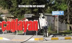 Erzincan Çağlayan’da Arı Alarmı: Oğul Veren Arılar Korkuttu, Vatandaşlar Panikle Kaçtı