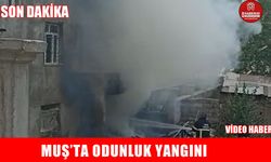 Muş’ta çıkan odunluk yangını paniğe neden oldu