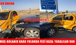 Muş-Bulanık kara yolunda trafik kazası: 5 yaralı
