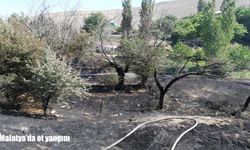 Malatya Darende'de ot yangını paniğe neden oldu