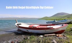 Ağrı’nın Saklı Cenneti Balık Gölü, Yaz Aylarında Ziyaretçi Akınına Uğruyor