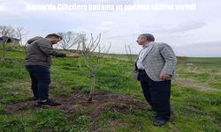 Hamur'da çiftçilere uygulamalı budama ve aşılama eğitimi verildi