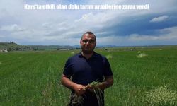 Kars’ta dolu yağışı tarım arazilerine zarar verdi