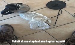 Erzurum Tekman’da elektrik akımına kapılan kadın hayatını kaybetti