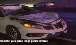 Siirt’te otomobil yola çıkan ineğe çarptı: 3 kişi yaralandı
