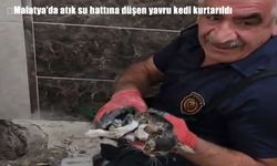Malatya’da atık su hattına düşen yavru kedi itfaiye tarafından kurtarıldı