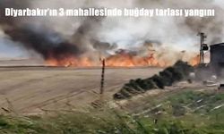 Diyarbakır Çınar’da üç mahallede buğday tarlası yangını: 100 dönüm alan yandı