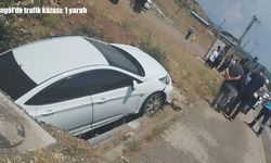 Bingöl'de trafik kazası: 1 yaralı