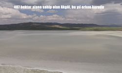 Van’daki Akgöl bu yıl mevsim normallerinden önce kurudu