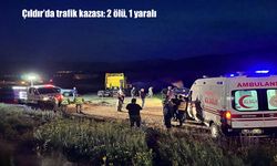 Ardahan-Çıldır Karayolunda feci kaza: 2 ölü, 1 yaralı