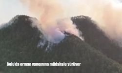 Bolu’da orman yangınına müdahale sürüyor: Yanan bölge havadan görüntülendi