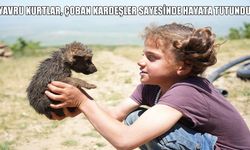 Muş’ta çoban kardeşler, kurt yavrularını ölümden kurtardılar