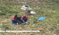 Van’da dağlık arazide bayılan çoban helikopterle hastaneye ulaştırıldı