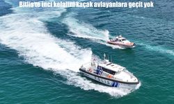 Van Gölü’nde İnci Kefali Nöbeti: Bitlis’te Kaçak Avcılığa Geçit Yok