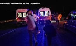 Bitlis'in Adilcevaz İlçesinde Bayram Yolculuğu Kabusa Döndü