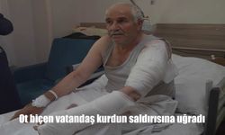 Çatak’ta Tarlada Kan Donduran Saldırı