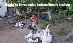 Akyaka’nın Şahnalar Köyünde Kazlar Aile Gibi Besleniyor