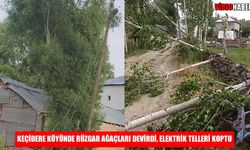 Muş’ta şiddetli rüzgar: Ağaçlar devrildi, elektrik kabloları koptu