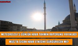 Meteoroloji uyardı: Muş'ta termometreler 33 dereceyi görecek!