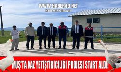Muş’ta yeni gelir kapısı açılıyor: Kaz yetiştiriciliği projesinde sona gelindi