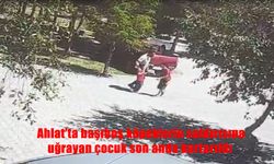 Ahlat'ta başıboş köpeklerin saldırısına uğrayan çocuk son anda kurtarıldı