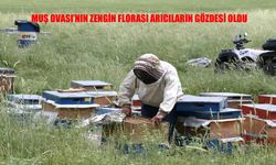 Ordulu arıcı 49 yıldır Muş Ovası’nda bal üretiyor