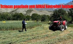 Erzincan’da Yem Bitkisi Denetimleri Başladı! Üreticilere Yerinde Kontrol