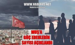 TÜİK 2024 göç verilerini açıkladı: Muş’a yurt dışından kaç kişi göç etti?