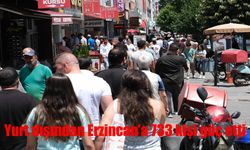 Yurt dışından Erzincan'a 733 kişi göç etti