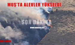 Muş’ta korkutan yangın
